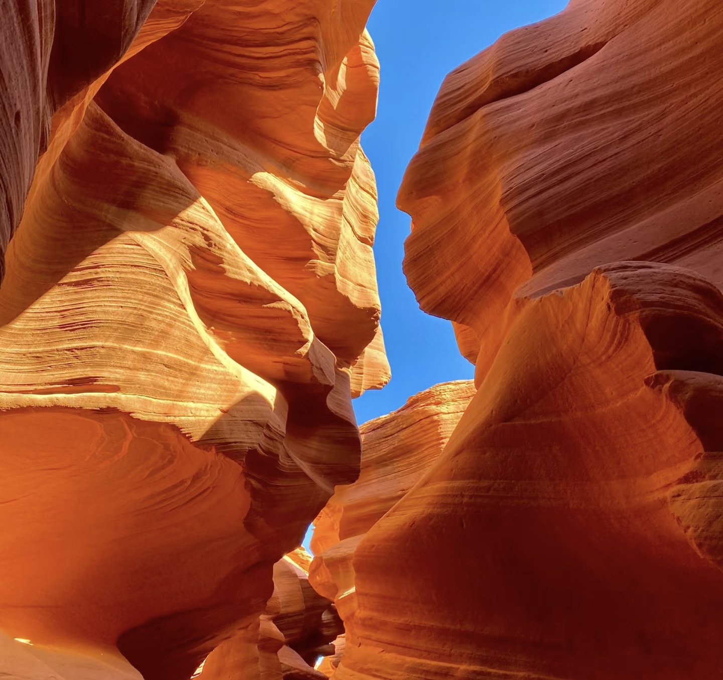 3295303bfb0d0bbf431b9504c23d543