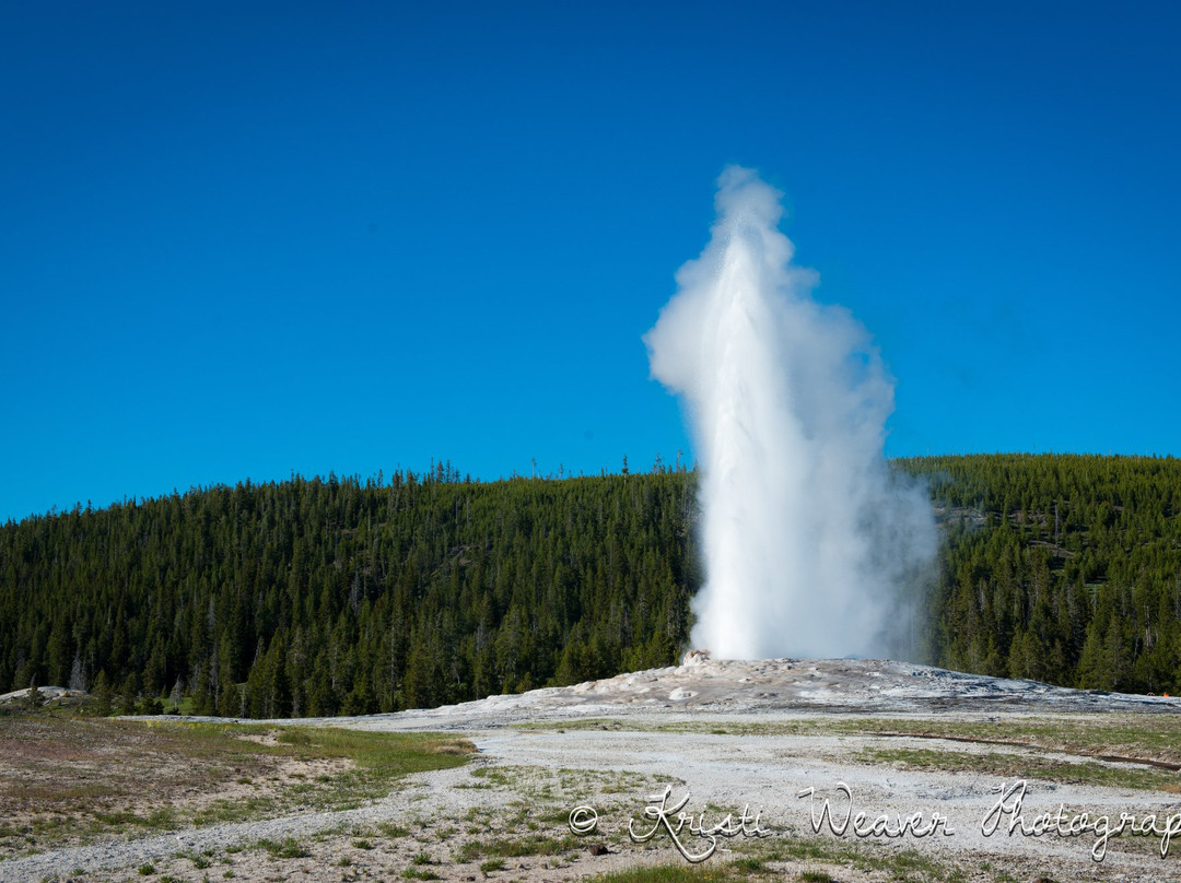 02Y4n120008oitvp6683E_R_1080_808_Q90 02Y4n120008oitvp6683E_R_1080_808_Q90